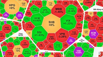 A tőzsdék január 14-én heves felfordulást éltek át, a VN-index 1900 pontos határ alá csúszott.