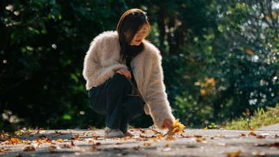 하이퐁의 고대 사원 근처에 있는 단풍나무 숲은 가을 단풍철에 사진 촬영 명소로 방문객들을 끌어들입니다.