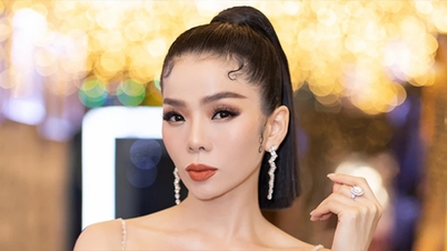 El Departamento de Cultura de la ciudad de Ho Chi Minh investiga el caso de los comentarios vulgares del cantante Le Quyen.