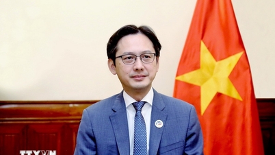 미국 공산당은 베트남의 새로운 길에 대한 확신을 표명했다.