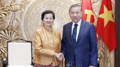 Setiausaha Agung To Lam menerima kunjungan Duta Besar Kerajaan Kemboja yang datang untuk mengucapkan selamat tinggal.