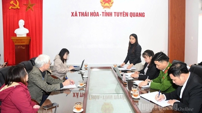 O Centro de Pesquisa e Consultoria para o Desenvolvimento está atuando na comuna de Thai Hoa.