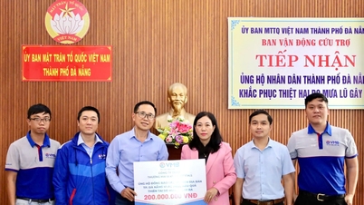 O Comitê da Frente da Pátria Vietnamita da cidade de Da Nang recebeu 200 milhões de VND para apoiar os esforços de socorro em desastres.