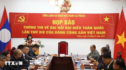 Laos: Das vietnamesische Generalkonsulat in Pakse stellt Informationen zum 14. Parteitag bereit.