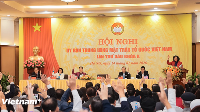Mevrouw Ha Thi Nga bekleedt de functie van vicevoorzitter en secretaris-generaal van het Centraal Comité van het Vietnamese Vaderlands Front.
