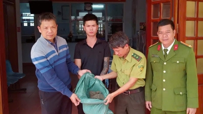 Převzetí vzácných divokých zvířat odevzdaných obyvateli městské části Kim Tra.