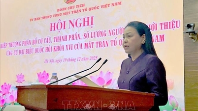 Memastikan tersedianya kondisi yang diperlukan untuk kegiatan pemilihan umum Front Tanah Air Vietnam.