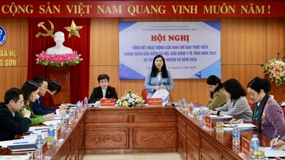 Tổng kết hoạt động Ban Chỉ đạo thực hiện chính sách BHXH, BHYT năm 2025