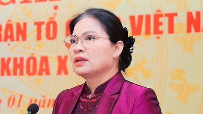 Cik Ha Thi Nga berkhidmat sebagai Naib Pengerusi dan Setiausaha Agung Jawatankuasa Pusat Barisan Tanah Air Vietnam.