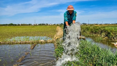 Észak-Vietnam: Megnövekedett vízkibocsátás a vízerőművekből közel 480 000 hektárnyi téli-tavaszi rizsföld öntözésére.