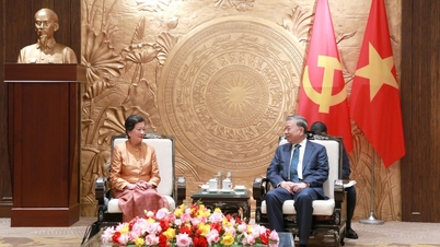 Fotografie: Secretarul general To Lam îl primește pe ambasadorul Regatului Cambodgiei, venit să-și ia rămas bun.