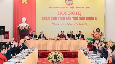 Het Centraal Comité van het Vietnamese Vaderlands Front wordt uitgebreid met nieuwe leden.