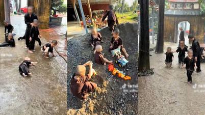 קוואנג נין: 7 ילדים מקאם לה פגודה נמסרו למשפחותיהם ולמרכז הסיוע החברתי המחוזי.