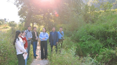 Estudio del potencial de desarrollo del ecoturismo en la aldea de Ban Duoc, comuna de Hoang Van Thu.