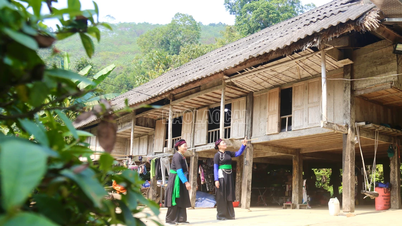 Preservando la cultura del pueblo Tay Khao.