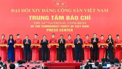 113 domestic media outlets registered to cover the 14th National Congress of the Party.