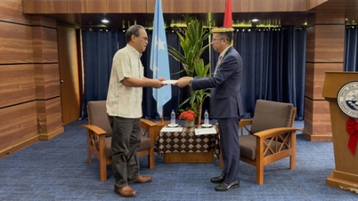 O embaixador Pham Thanh Binh apresenta suas credenciais ao presidente dos Estados Federados da Micronésia.
