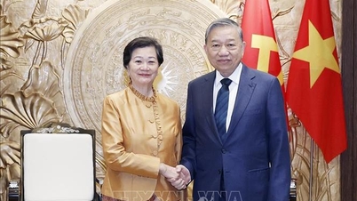 เลขาธิการใหญ่โต ลัม ได้ให้การต้อนรับเอกอัครราชทูตกัมพูชา เชีย คิมทา ในโอกาสเข้าเยี่ยมคารวะอำลา