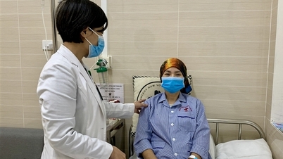 Rumah Sakit 19-8 memulai kembali transplantasi sumsum tulang dalam pengobatan kanker darah.