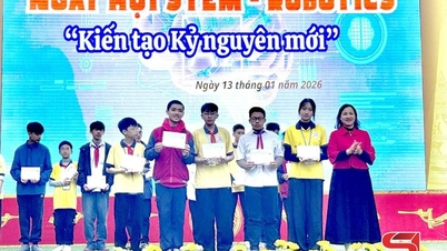 Festival STEM – ROBÓTICA “Creando una Nueva Era”