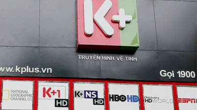 Antrag auf Verlängerung des Abonnements und Rückerstattung für den K+-Service.