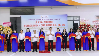 Společnost Petrolimex Can Tho vítá rok 2026 úspěšným otevřením 3 čerpacích stanic.