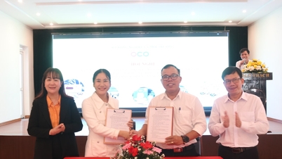 "Đường ra biển lớn" của sản phẩm OCOP