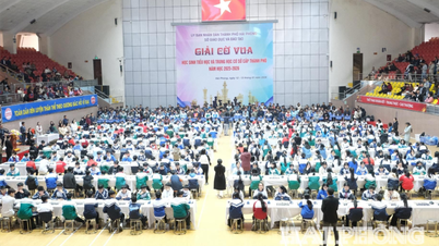 Over 900 young chess players competed at the City Student Chess Tournament.