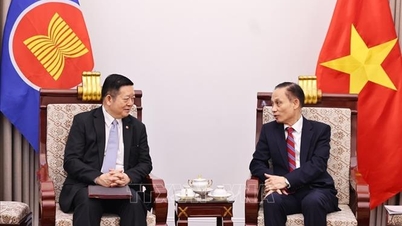 Le ministre des Affaires étrangères, Le Hoai Trung, reçoit le secrétaire général de l'ASEAN.