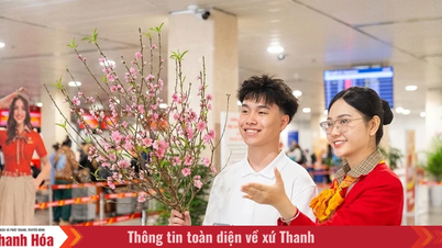 Vietjet mang sắc mai, đào theo những chuyến bay Xuân 2026