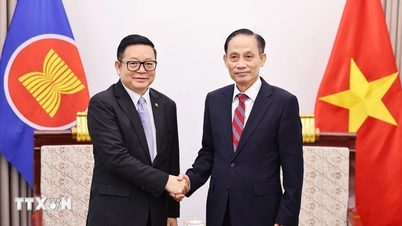 ASEAN vždy zastával strategicky důležité postavení ve vietnamské zahraniční politice.