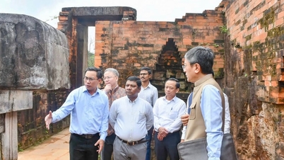 Proposal for the Indian government to provide funding for the conservation of the A' tower group in My Son.