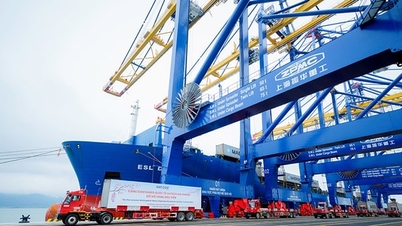 Building export sustainability through domestic strength.
