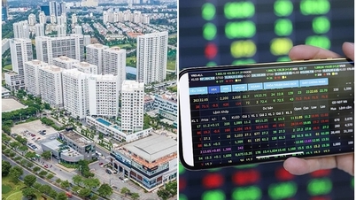 Chuyên gia dự báo thị trường chứng khoán, bất động sản 2026