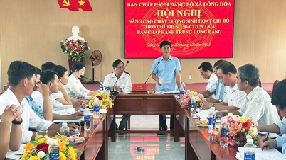 Cabang Partai mengadakan pertemuan modelnya di komune Dong Hoa.