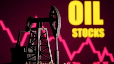 Today's fuel prices (January 15): Reversed downward trend.