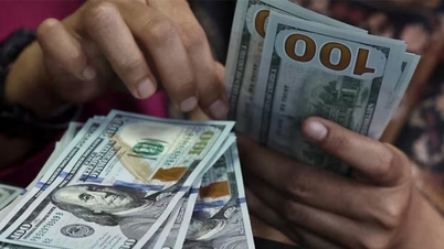 Döviz kurları, USD/VND kuru bugün, 7 Ocak: ABD doları yükseliyor, yatırımcılar ABD ekonomisinden olumlu haberler bekliyor.
