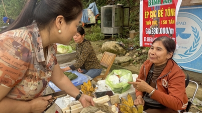 Mưu sinh từ củ chuối rừng