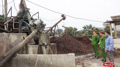 Phát triển cây cà phê bền vững gắn với bảo vệ môi trường