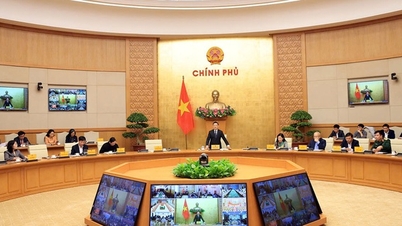 Preliminary results of the 2025 Rural and Agricultural Census announced.
