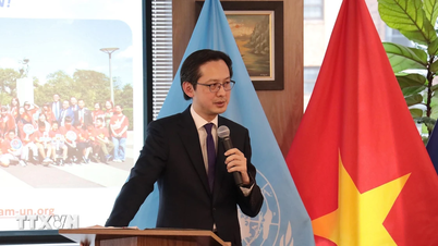 Vietnamská delegace při OSN se setkala s mezinárodním tiskem a informovala ho o jeho činnosti.