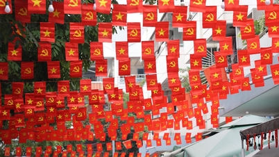 Город Хошимин украшен флагами и цветами в честь 14-го Национального съезда партии.