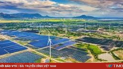 Att frigöra grönt kapital: En ny möjlighet att driva Vietnams ekonomi framåt år 2026.