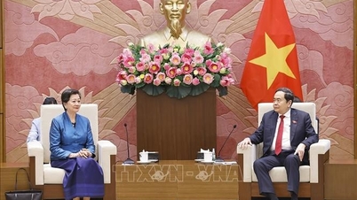 Yang Dipertua Dewan Undangan Negeri (DUN) amat menghargai sumbangan Duta-duta Kemboja, Amerika Syarikat dan Filipina.