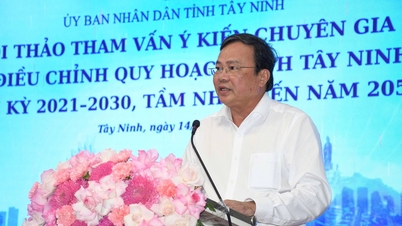 Tay Ninh berunding dengan pakar-pakar mengenai pelarasan perancangan wilayah untuk tempoh 2021–2030, dengan visi hingga 2050.