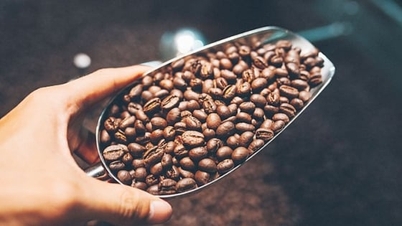 Precios del café hoy, 15 de enero de 2026: aumentos y disminuciones mixtos a nivel mundial.