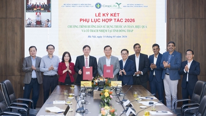 Collaboration to promote sustainable pesticide management