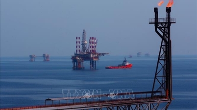Ekonomi milik negara memainkan peranan sebagai 'bidan' untuk pasaran.