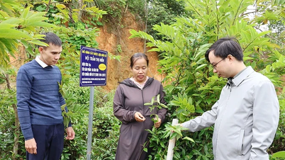 Организация Thai Hoa стремится сократить бедность и увеличить доходы своего населения.