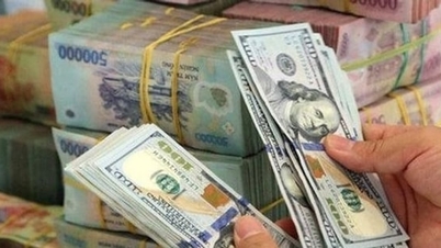 Tỷ giá USD ngày 15-1: Ổn định tại ngân hàng, hạ nhiệt trên thị trường tự do
